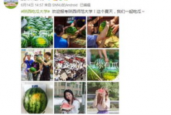 学院吃瓜爆料视频素材,吃瓜爆料视频背后的真相大揭秘